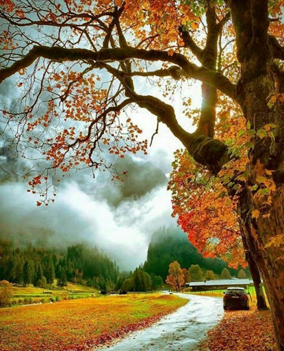شهربازی پارسا کوچولو