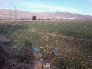 ماه فیروزان