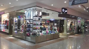 کیف و کفش گوچی