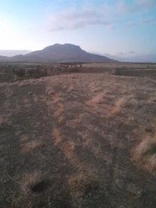 سکانه