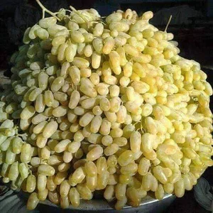 سوپر مارکت الماسی