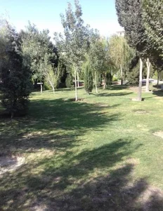 پارک بنفشه 3