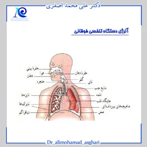 مطب دکتر فریبا شکری فوق بیماری‌های ریه