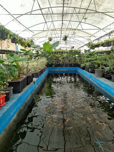 گلخانه برابادی