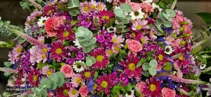 گل فروشی مارانتا 2