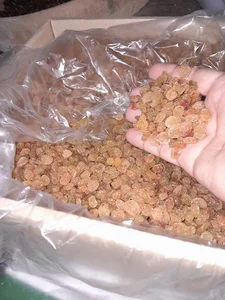 فروشگاه اهواز کشمش