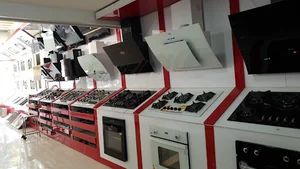 تاسیسات برنولی