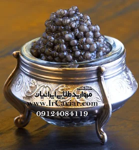 شرکت خاویار شیلات ایران