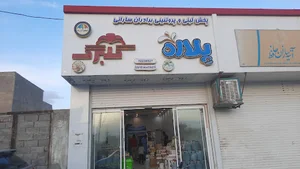 پروتئین برادران سارانی
