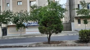 بیمه ایران الماسیان 5