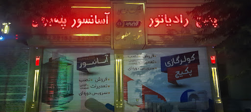 شرکت آریایورد، نمایندگی ایساتیس