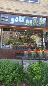 گل اووکادو (گل‌آرایی شفیعی) 2