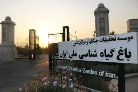 میدان بیرون شهر