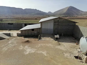 کافه روف