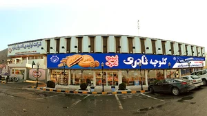 شرکت تولیدی نادریان فرد