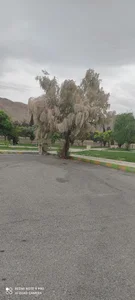 پارکینگ عمومی ورزشگاه فولادشهر