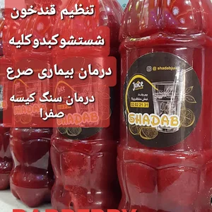 آبمیوه بستنی شاداب 2