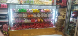 پروتیئن ایلیا