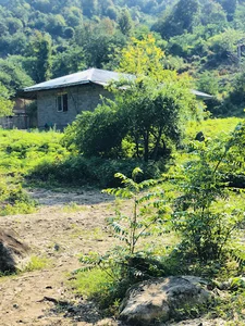 مرکز تفریحی ماسال