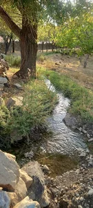 قنات استریه