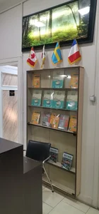 آموزشگاه زبان انگلیسی تهران زبان