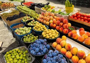 میوه فروشی سیاوش
