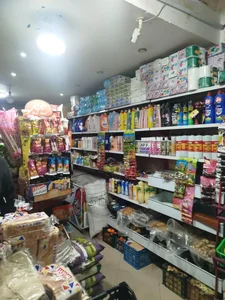 فروشگاه کینو