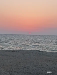 ساحل شنی