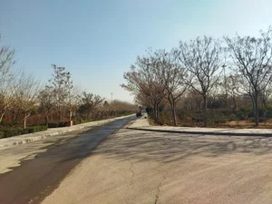 بوستان گیاه‌شناسی 4