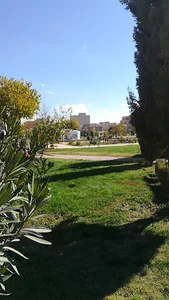 پارک ردانی