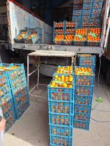 بارفروشی‌سیروان‌میرزای
