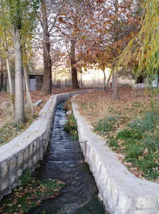 مرغ و ماهی کاوس کریمی