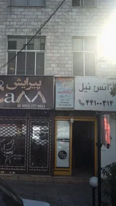 آژانس نیل 2