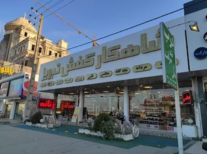 شاهکار کفش تبریز