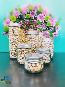 پسته پرشین نات 2