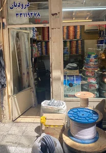 کالای برق درودیان