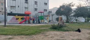 پارک 2