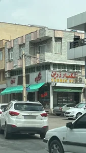 خشکبار زرین 2