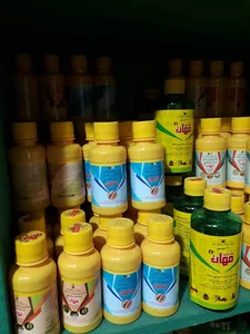 داروخانه گیاهپزشکی شاهرود