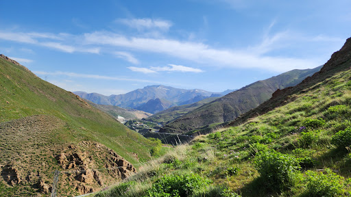 سیترا