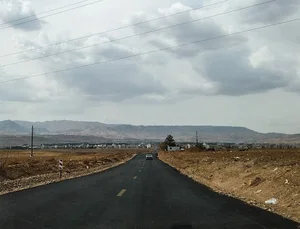 گویم