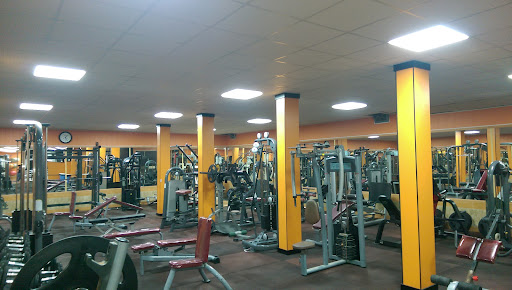 Sepehr GYM