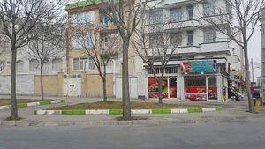 فست فود ساب وی