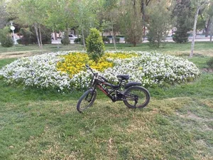 بوستان ملت 5