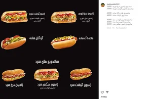 فست فود سیب 4