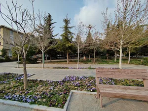 بوستان جانبازان
