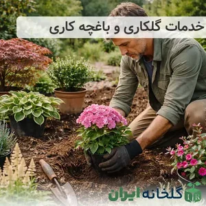 باغبانی ونگهداری‌کاشت ویلاها وباغات