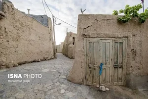 میوه فروشی سعادت
