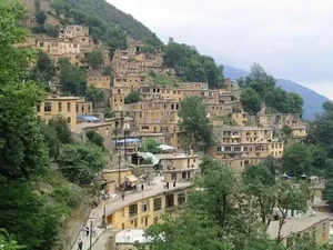 زنبورستان شازند 57