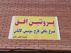 پروتیین افق